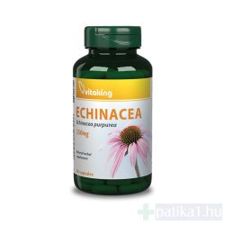 Vitaking Echinacea 250mg kapszula 90 db