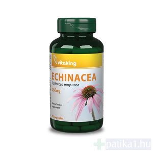 Vitaking Echinacea 250mg kapszula 90x