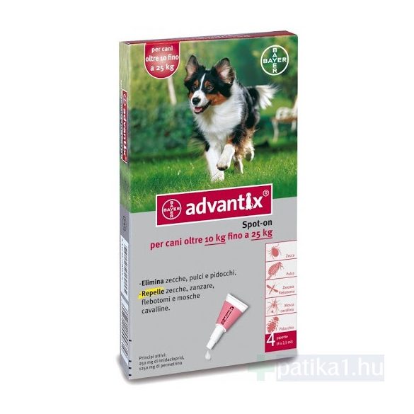 Advantix Spot On kutyáknak 10-25 kg 1 amp 