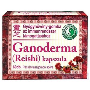 Dr. Chen Ganoderma kapszula 60 db