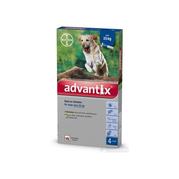 Advantix Spot On kutyáknak 25 kg felett 4 amp 