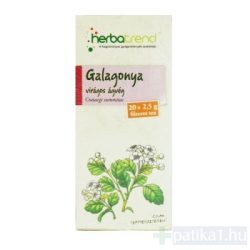   Galagonya virágos hajtásvég tea filteres Herbatrend 20x2,5g
