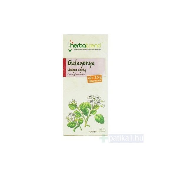 Galagonya virágos hajtásvég tea filteres Herbatrend 20x2,5g