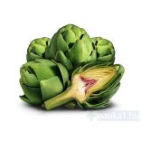 Natur Tanya Articsóka vegán kapszula 60x