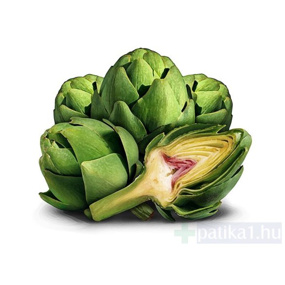 Natur Tanya Articsóka vegán kapszula 60x