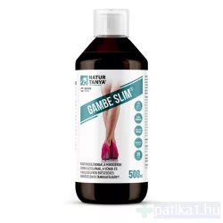 Natur Tanya Gambe Slim szirup 500 ml