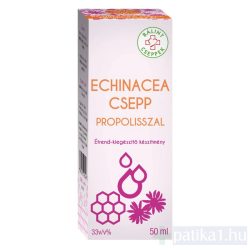 Bálint Cseppek Echinacea szirup feketeribizlivel 150 ml