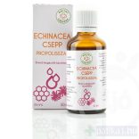 Bálint Cseppek Echinacea szirup feketeribizlivel 150 ml